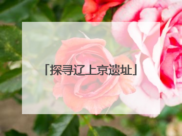 探寻辽上京遗址