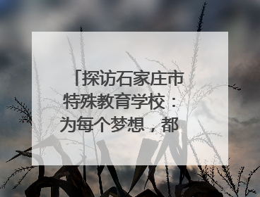 探访石家庄市特殊教育学校：为每个梦想，都插上“翅膀”