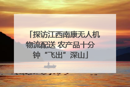 探访江西南康无人机物流配送 农产品十分钟“飞出”深山