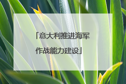 意大利推进海军作战能力建设