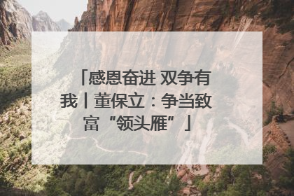 感恩奋进 双争有我丨董保立：争当致富“领头雁”