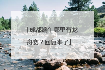 成都端午哪里有龙舟赛？回复来了