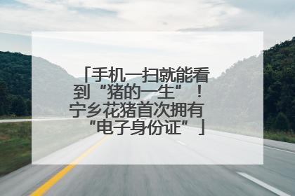 手机一扫就能看到“猪的一生”！宁乡花猪首次拥有“电子身份证”