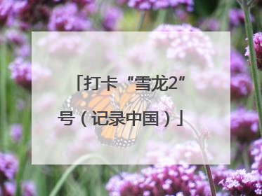 打卡“雪龙2”号（记录中国）