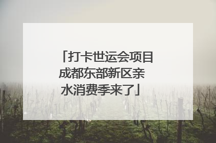 打卡世运会项目 成都东部新区亲水消费季来了