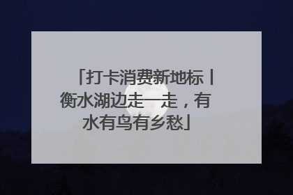 打卡消费新地标丨衡水湖边走一走，有水有鸟有乡愁