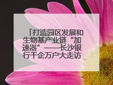 打造园区发展和生物基产业链“加速器”——长沙银行千企万户大走访·怀化高新区、生物基产业链专场活动举行
