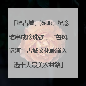把古城、湿地、纪念馆串成珍珠链，“鲁风运河”古城文化廊道入选十大最美农村路
