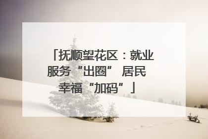 抚顺望花区：就业服务“出圈” 居民幸福“加码”