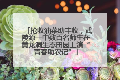 抢收油菜助丰收，武陵源一中数百名师生在黄龙洞生态田园上演“青春助农记”