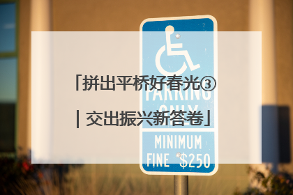 拼出平桥好春光③｜交出振兴新答卷