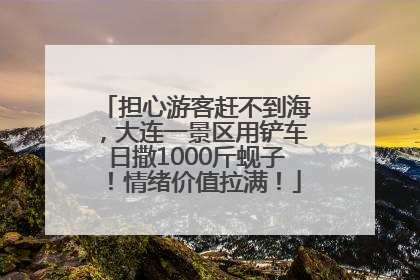 担心游客赶不到海，大连一景区用铲车日撒1000斤蚬子！情绪价值拉满！