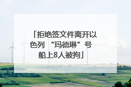 拒绝签文件离开以色列 “玛德琳”号船上8人被拘