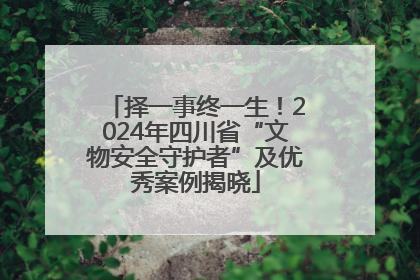 择一事终一生！2024年四川省“文物安全守护者”及优秀案例揭晓