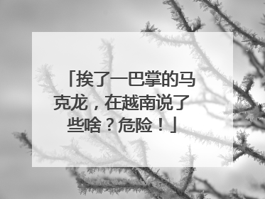 挨了一巴掌的马克龙，在越南说了些啥？危险！