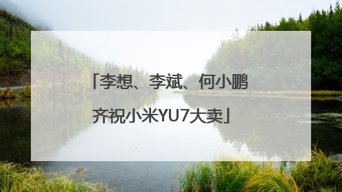 李想、李斌、何小鹏齐祝小米YU7大卖