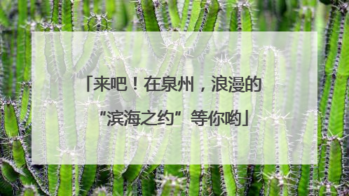 来吧！在泉州，浪漫的“滨海之约”等你哟