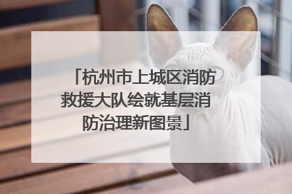 杭州市上城区消防救援大队绘就基层消防治理新图景