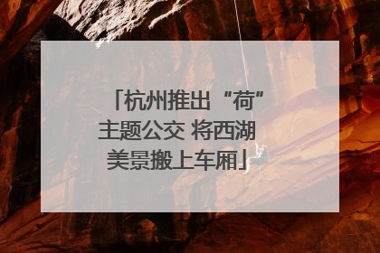 杭州推出“荷”主题公交 将西湖美景搬上车厢