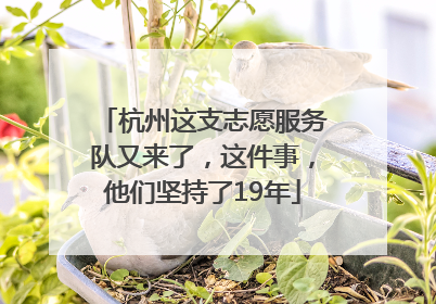 杭州这支志愿服务队又来了，这件事，他们坚持了19年