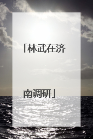 林武在济南调研