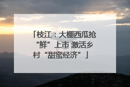 枝江：大棚西瓜抢“鲜”上市 激活乡村“甜蜜经济”