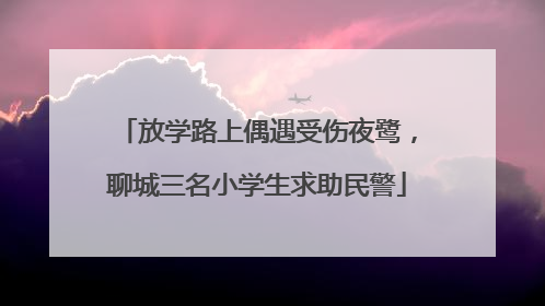 放学路上偶遇受伤夜鹭，聊城三名小学生求助民警