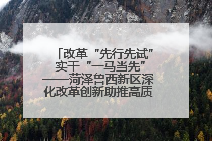 改革“先行先试” 实干“一马当先”——菏泽鲁西新区深化改革创新助推高质量发展纪实