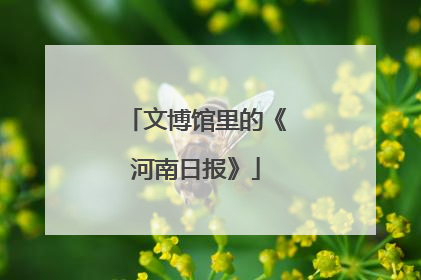 文博馆里的《河南日报》