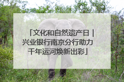文化和自然遗产日｜兴业银行南京分行助力千年运河焕新出彩
