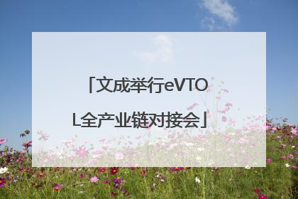 文成举行eVTOL全产业链对接会