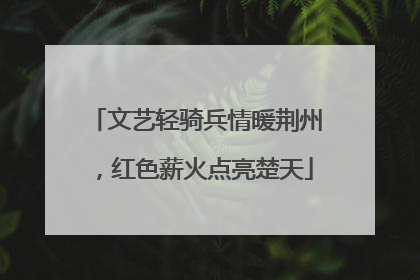 文艺轻骑兵情暖荆州，红色薪火点亮楚天