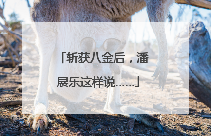 斩获八金后，潘展乐这样说……