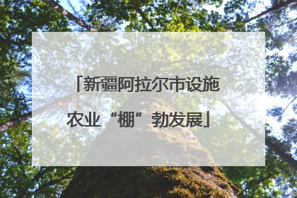 新疆阿拉尔市设施农业“棚”勃发展