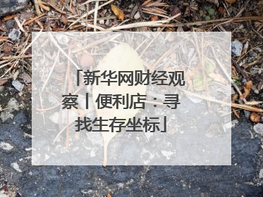 新华网财经观察丨便利店：寻找生存坐标