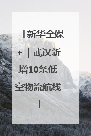 新华全媒+｜武汉新增10条低空物流航线