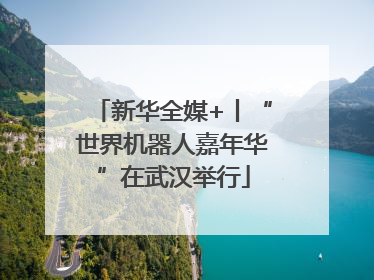 新华全媒+丨“世界机器人嘉年华”在武汉举行