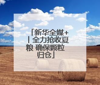 新华全媒+丨全力抢收夏粮 确保颗粒归仓