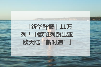 新华鲜报｜11万列！中欧班列跑出亚欧大陆“新时速”