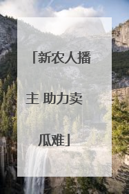 新农人播主 助力卖瓜难