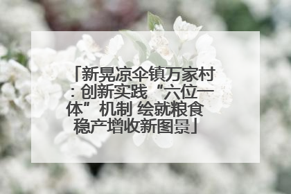 新晃凉伞镇万家村：创新实践“六位一体”机制 绘就粮食稳产增收新图景