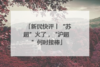 新民快评丨“苏超”火了，“沪超”何时接棒