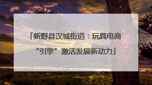新野县汉城街道：玩具电商“引擎”激活发展新动力