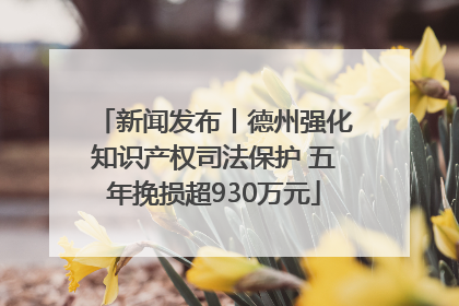 新闻发布丨德州强化知识产权司法保护 五年挽损超930万元