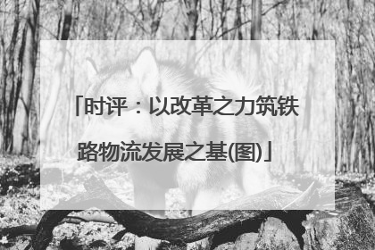 时评：以改革之力筑铁路物流发展之基(图)