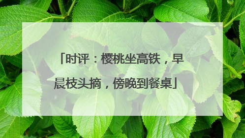 时评：樱桃坐高铁，早晨枝头摘，傍晚到餐桌