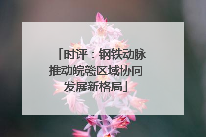时评：钢铁动脉推动皖赣区域协同发展新格局