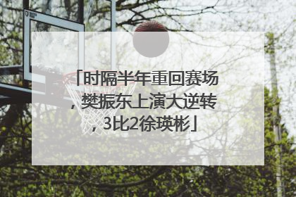 时隔半年重回赛场，樊振东上演大逆转，3比2徐瑛彬