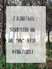 无锡马山：党建引领 铺就“梅”好乡村振兴路