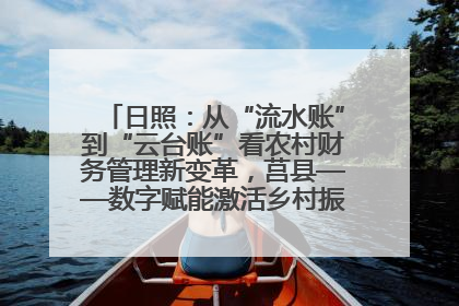 日照：从“流水账”到“云台账”看农村财务管理新变革，莒县——数字赋能激活乡村振兴“一池春水”